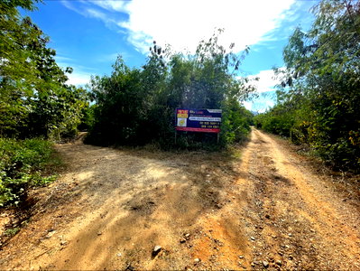 ที่ดิน เชียงใหม่ : ที่ดินเปล่า 3 ไร่เศษ ในสวนเกษตรทำเลดี ต.แม่สอย อ.จอมทอง จ.เชียงใหม่