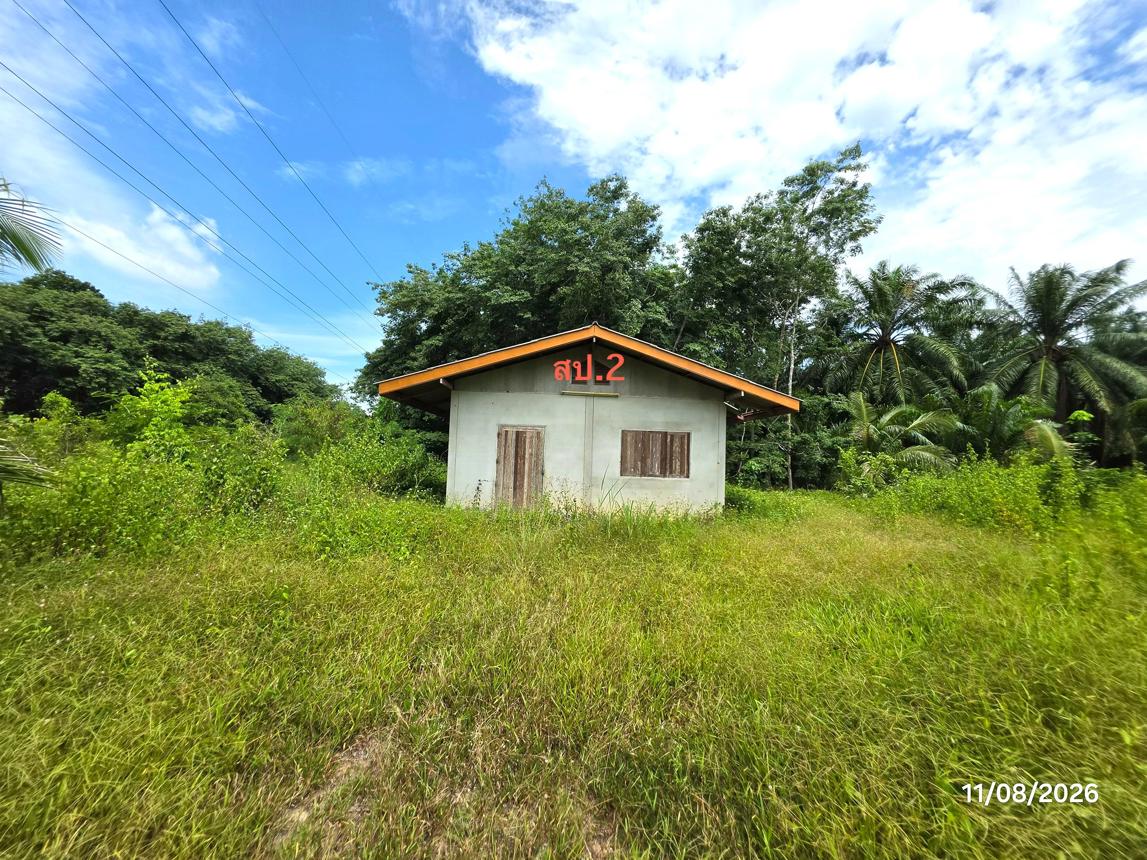 picture HOME 1729 Sq.w. Khiri Ratthanikhom Surat Thani for 4M - 28/37
