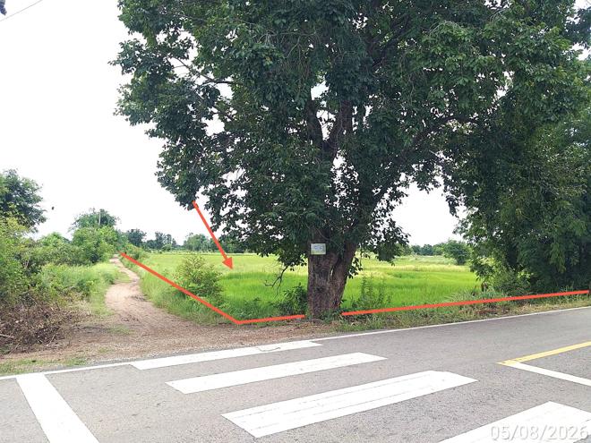 รูป ที่ดินว่างเปล่า 6694 ตร.วา อรัญประเทศ สระแก้ว 6M - รูปที่ 2/17
