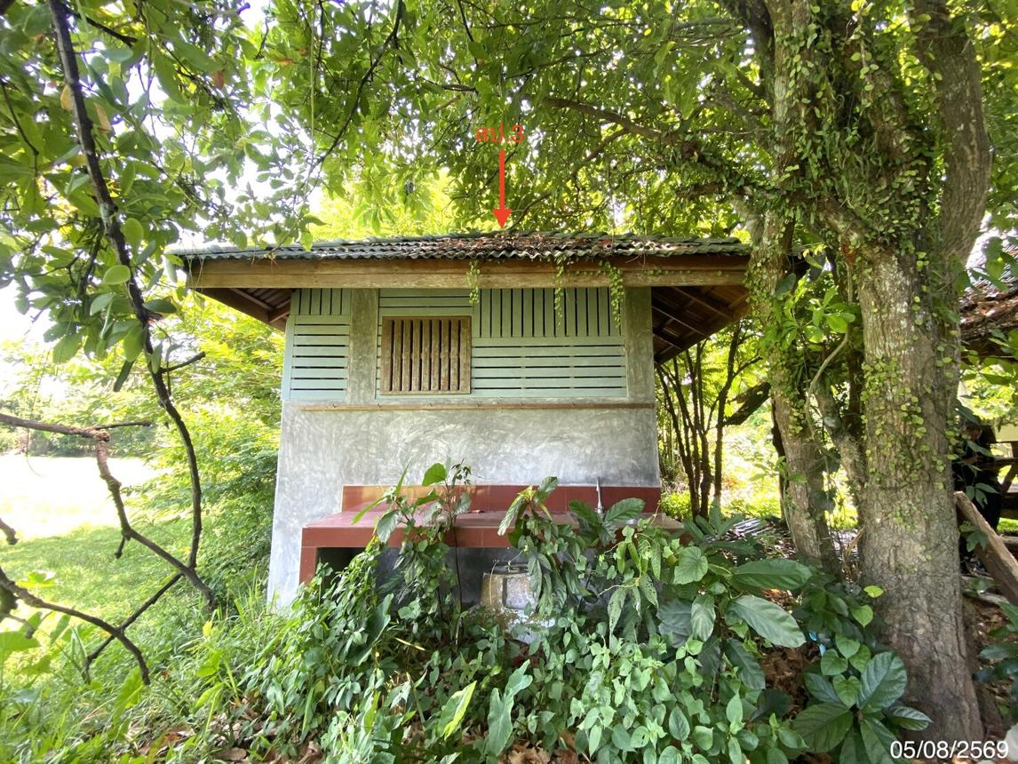 picture HOME 293.1 Sq.w. Muang Phatthalung Phatthalung for 6.5M - 39/49