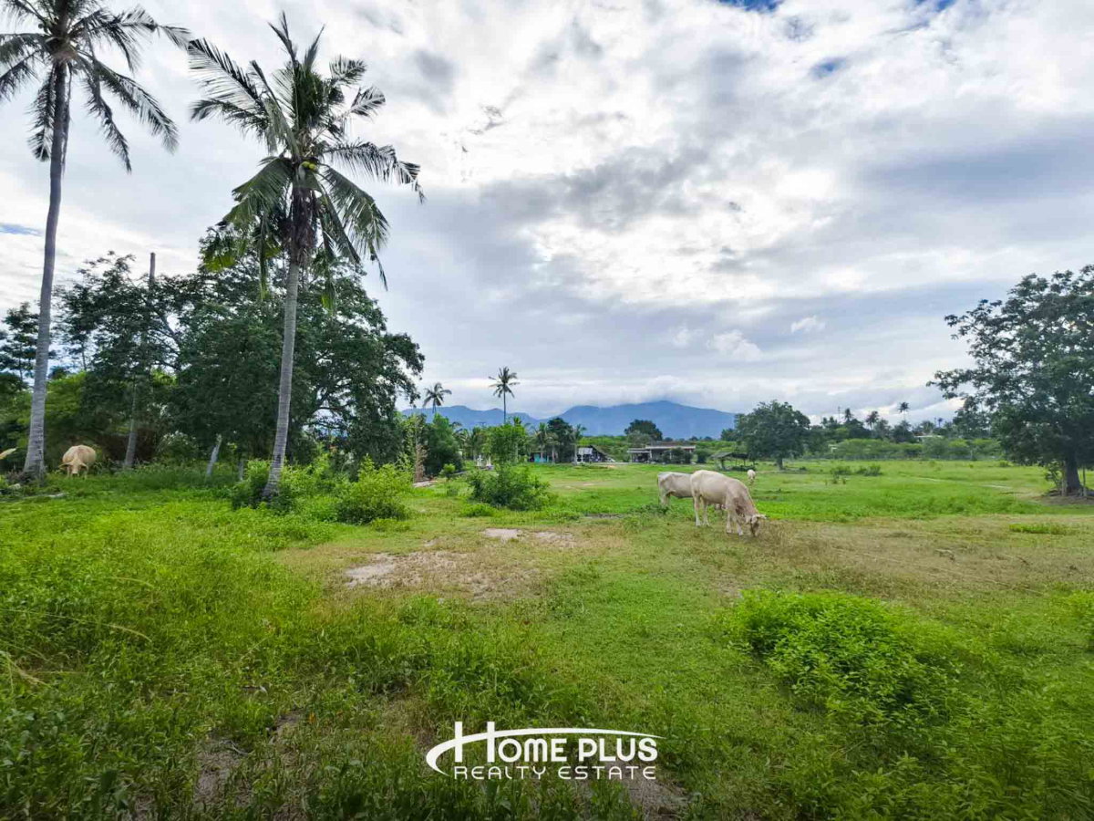 รูป 🌳 ขายที่ดิน 14 ไร่ 24 ตร.ว. ใกล้สถานีรถไฟห้วยยาง อำเภอทับสะแก จังหวัดประจวบคีรีขันธ์ - รูปที่ 6/16