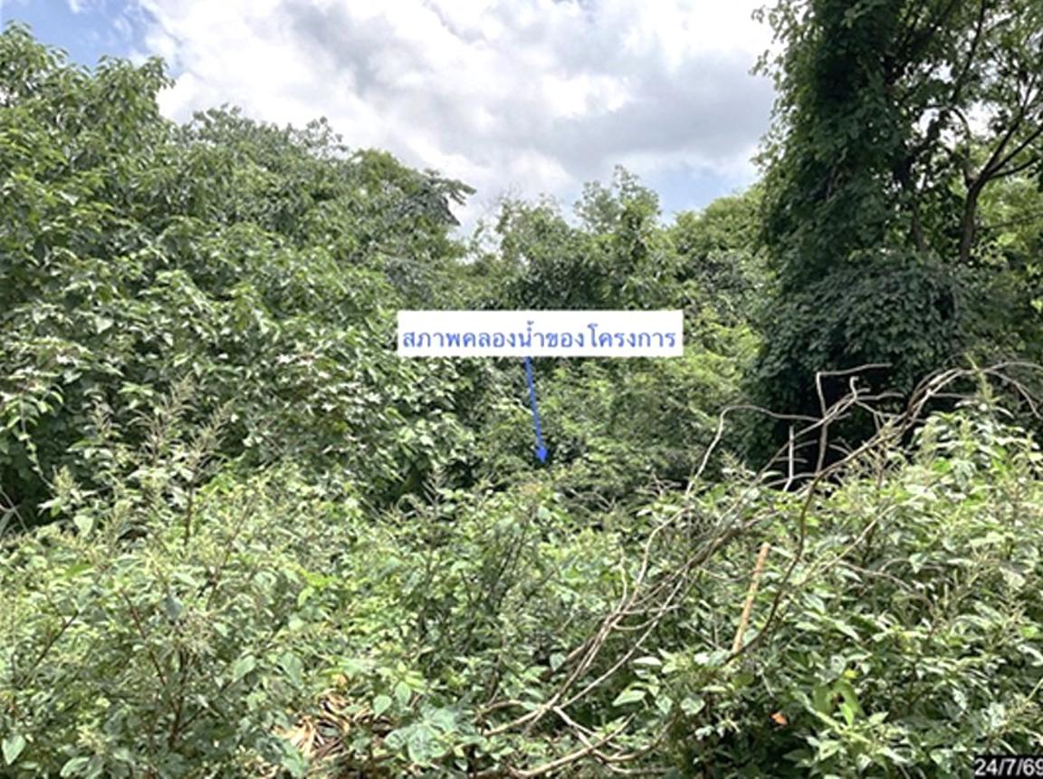 รูป ที่ดินว่างเปล่า 827 ตร.วา ภูริพิมาน ปากช่อง นครราชสีมา 3.5M - รูปที่ 11/19