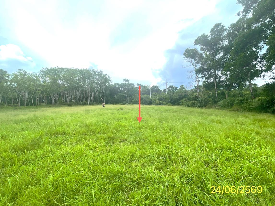 picture LAND 785 Sq.w. Hat Yai Songkhla for 4.5M - 14/21