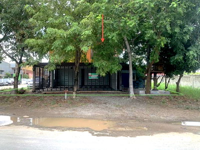 บ้านเดี่ยว นิคมไฮเทค บ้านหว้า : บ้านเดี่ยว 170 ตร.วา วังน้อย พระนครศรีอยุธยา 7.3M