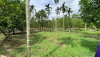 listing thumbnail image 11