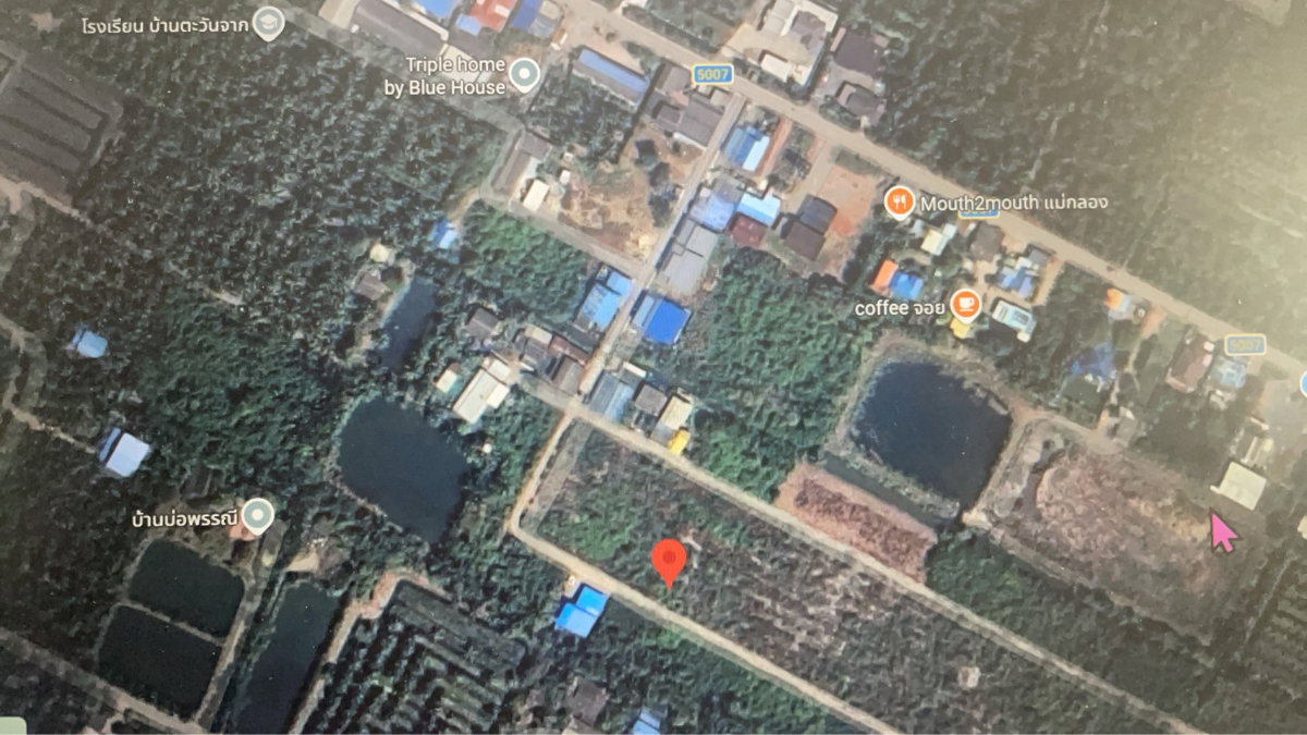 รูป ขายที่ดิน ต,ลาดใหญ่ สมุทรสงคราม (บ้านตะวันจาก) เนื้อที่ 226 ตร.ว **.ใกล้ถนนใหญ่เพียง 270 เมตร และใกล้โรงเรียนตะวันจากเพียง 400 เมตร - รูปที่ 3/8
