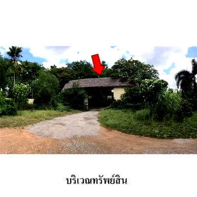 Apartment building for sale Si Sam Rong Sukhothai : Thailand Hotel for sale 39 Rai 0 Ngan 24 Square Wah  15371000 Baht.