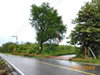 listing thumbnail image 34