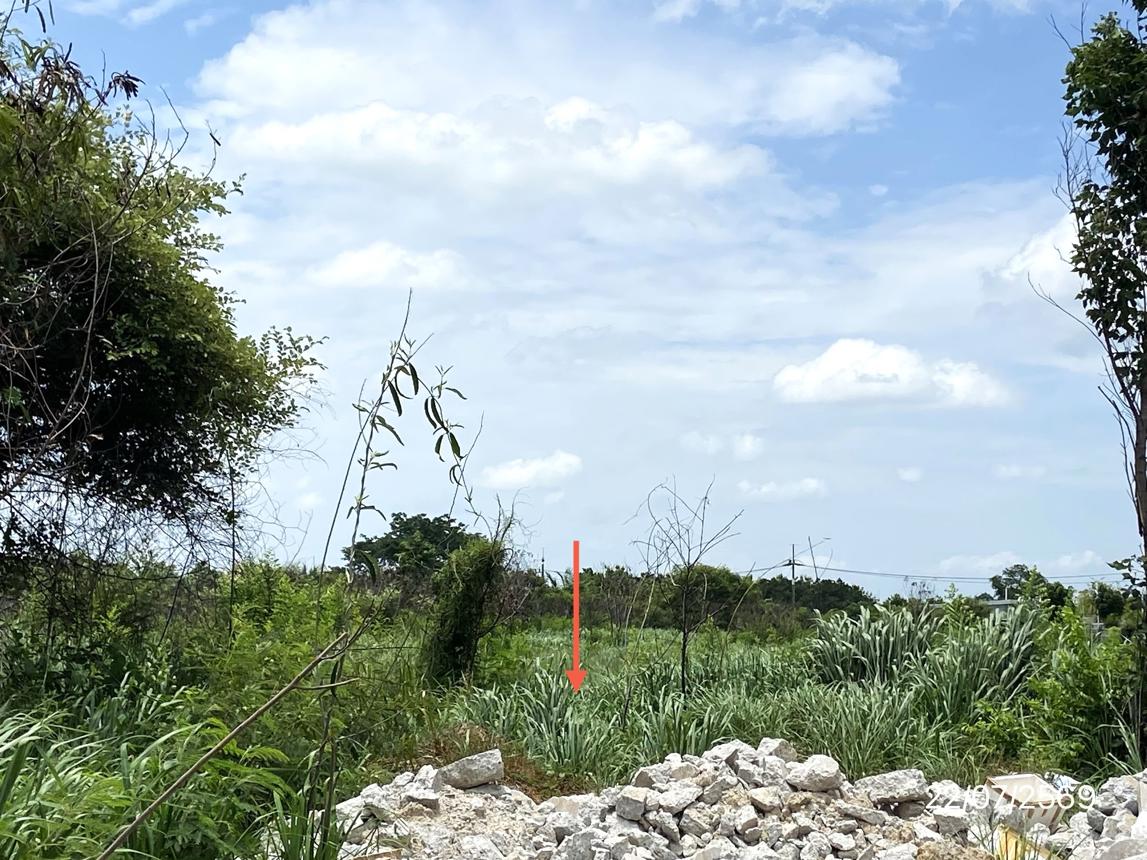 รูป ที่ดินว่างเปล่า 1016.8 ตร.วา บ้านบึง ชลบุรี 13.6M - รูปที่ 12/21