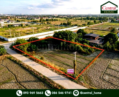 ที่ดิน ไทรน้อย นนทบุรี : ที่ดินเปล่า ทำเลสวยมาก 100 ตารางวา หนองเพรางาย ราคาสุดคุ้มค่า ถนนคอนกรีต