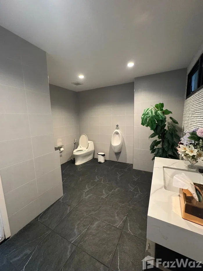 picture Passorn Bangwaek 6739716 - 21/48