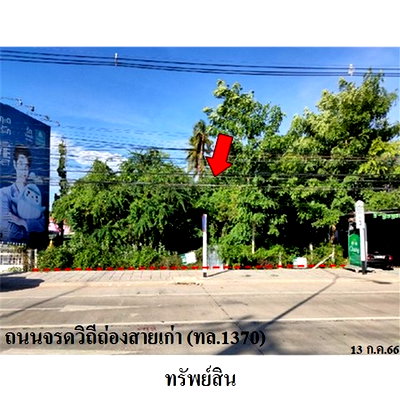 ที่ดิน สุโขทัย : Z4T0042 ขายที่ดินเปล่า ตำบล เมืองสวรรคโลก อำเภอ สวรรคโลก จังหวัด สุโขทัย