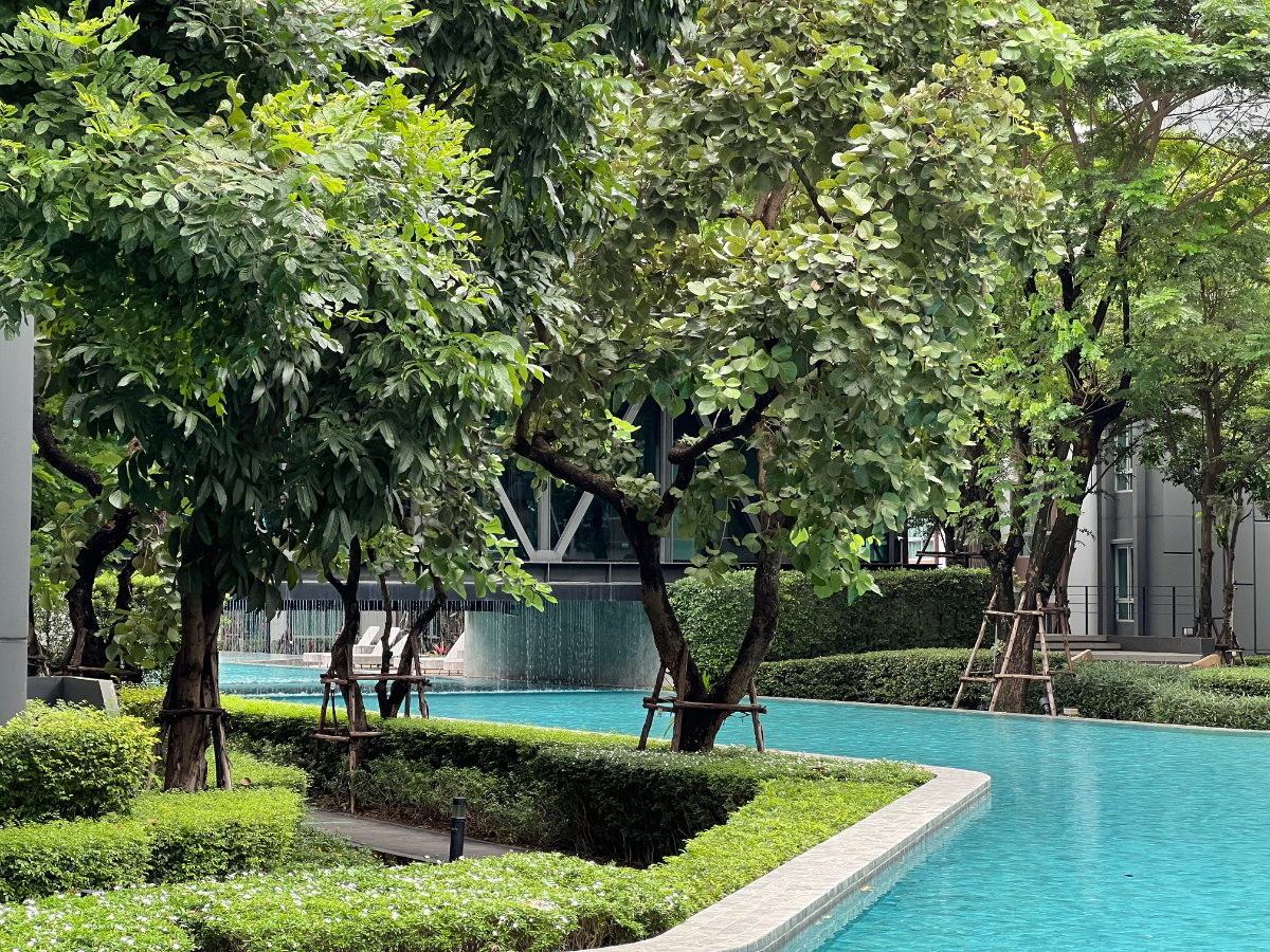 รูป ✅ให้เช่า ดีคอนโดพิงค์ 37 ตรม. ชั้น5 วิวสระว่ายน้ำ 15,000บาท☎️064-792-4426(เบญ) - รูปที่ 13/15