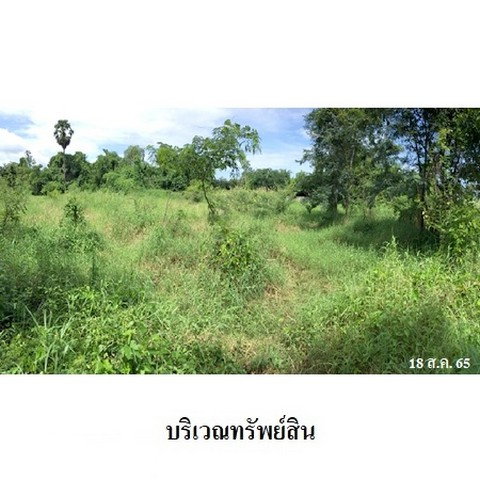 รูป Z2T2195 ขายที่ดินเปล่า ตำบล เมืองเก่า อำเภอ เมืองสุโขทัย จังหวัด สุโขทัย - รูปที่ 4/8