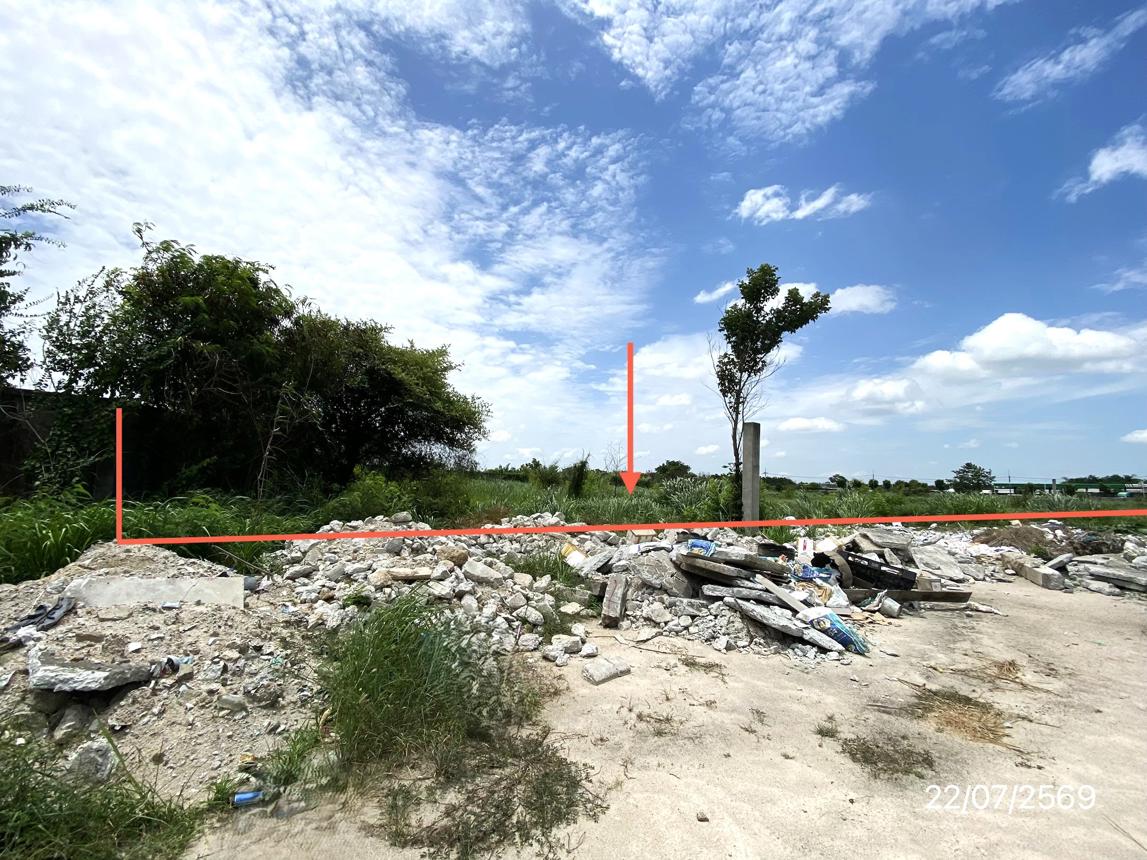 รูป ที่ดินว่างเปล่า 1016.8 ตร.วา บ้านบึง ชลบุรี 13.6M - รูปที่ 11/21