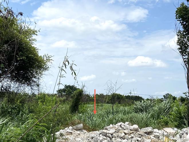 รูป ที่ดินว่างเปล่า 1016.8 ตร.วา บ้านบึง ชลบุรี 13.6M - รูปที่ 4/21