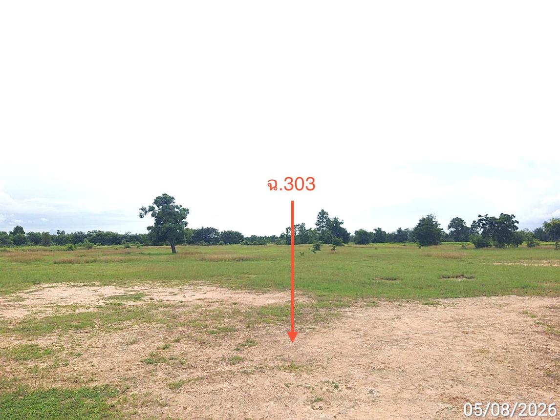 picture LAND 10648.9 Sq.w. Kok Sung Srakaeo for 7.5M - 11/17