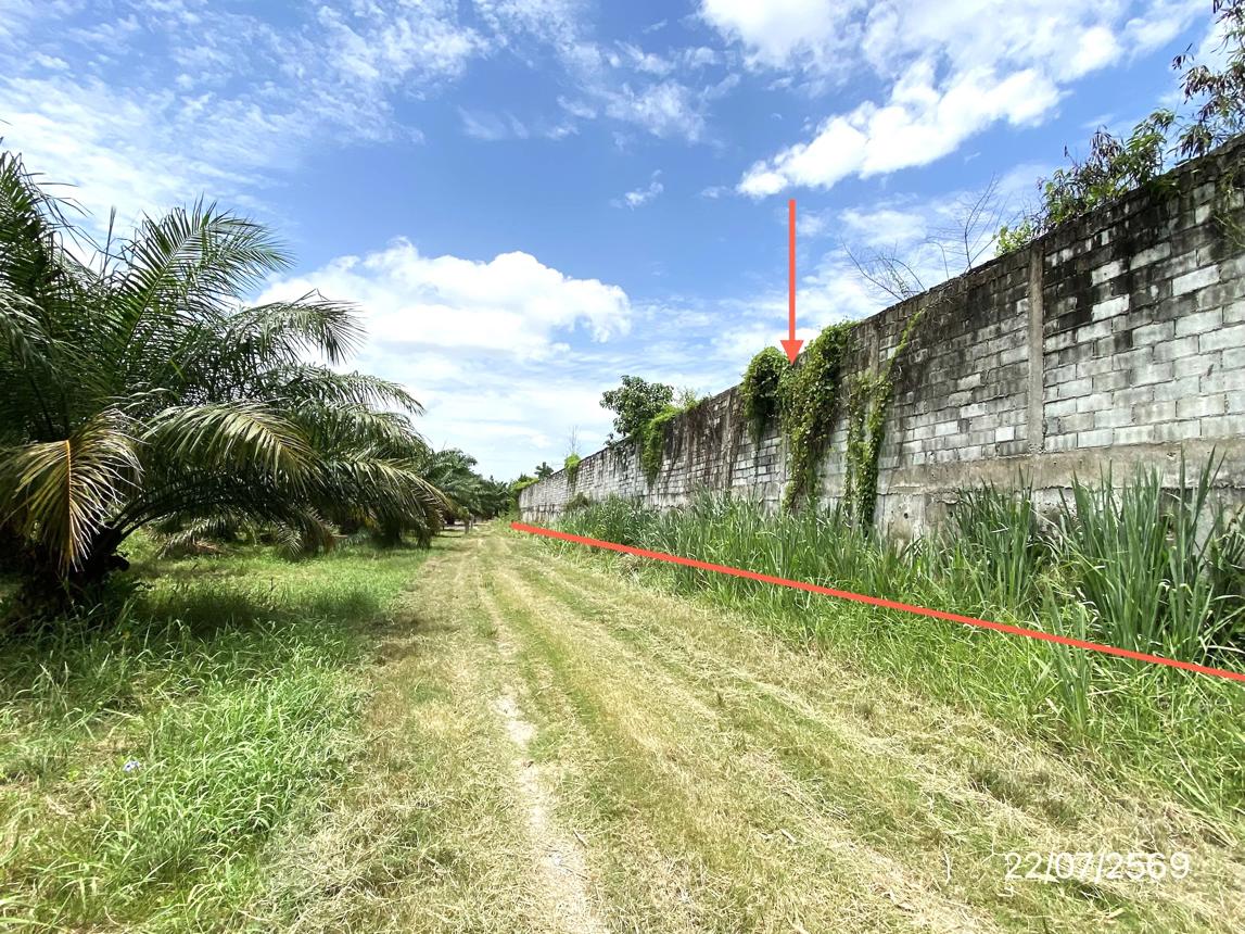รูป ที่ดินว่างเปล่า 1016.8 ตร.วา บ้านบึง ชลบุรี 13.6M - รูปที่ 15/21