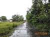 listing thumbnail image 32
