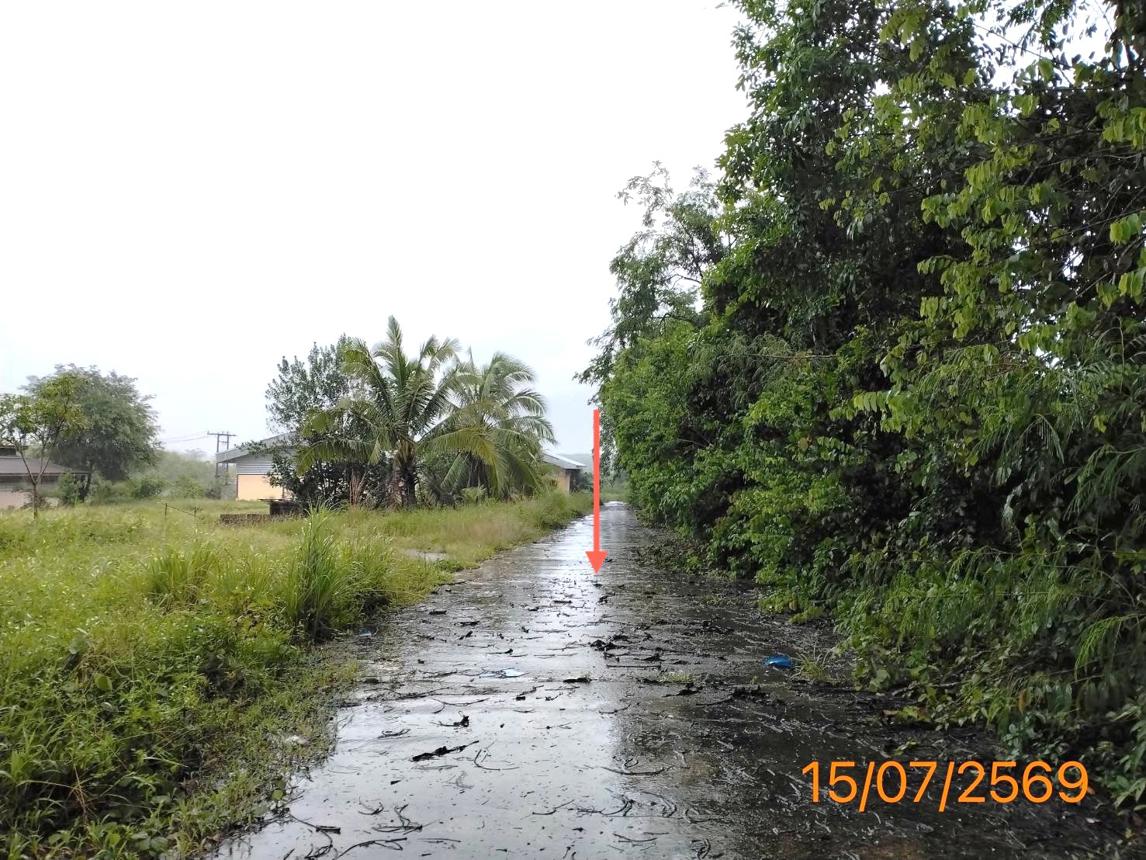 รูป โกดัง 4400 ตร.วา ท้ายเหมือง พังงา 18.5M - รูปที่ 33/39