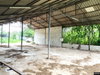listing thumbnail image 17