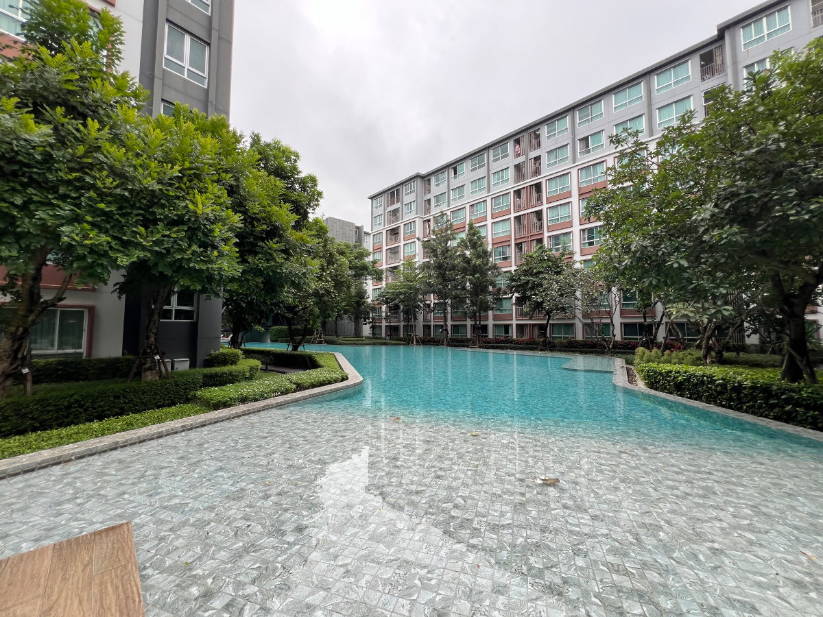 รูป ✅ให้เช่า ดีคอนโดพิงค์ 30ตรม. ชั้น4 ตึกD 11,000บาท ☎️064-792-4426(เบญ) - รูปที่ 9/13