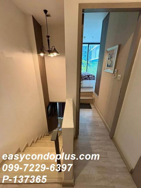 รูป 🏷️ P-137365 | IDEO Mobi Sukhumvit 81 | 1 นอน Duplex 43 ตร.ม. | 2 ชั้น วิวเมือง - รูปที่ 7/18