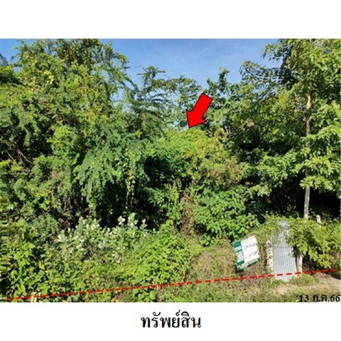 รูป Z4T0042 ขายที่ดินเปล่า ตำบล เมืองสวรรคโลก อำเภอ สวรรคโลก จังหวัด สุโขทัย - รูปที่ 4/8