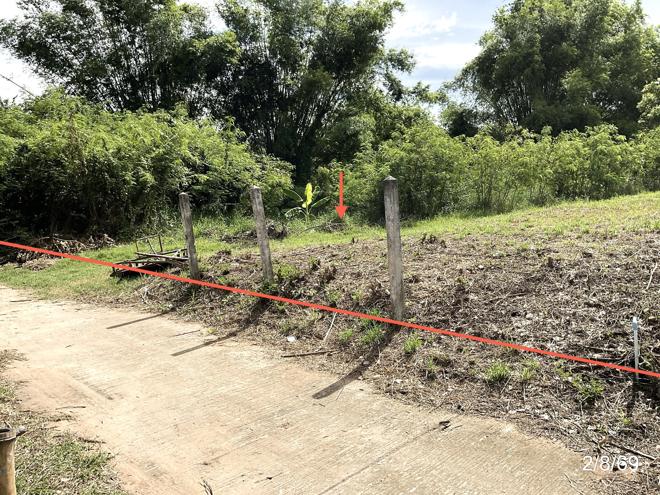 picture HOME 671 Sq.w. Phu Khieo Chaiyaphum for 943,000 - 10/25
