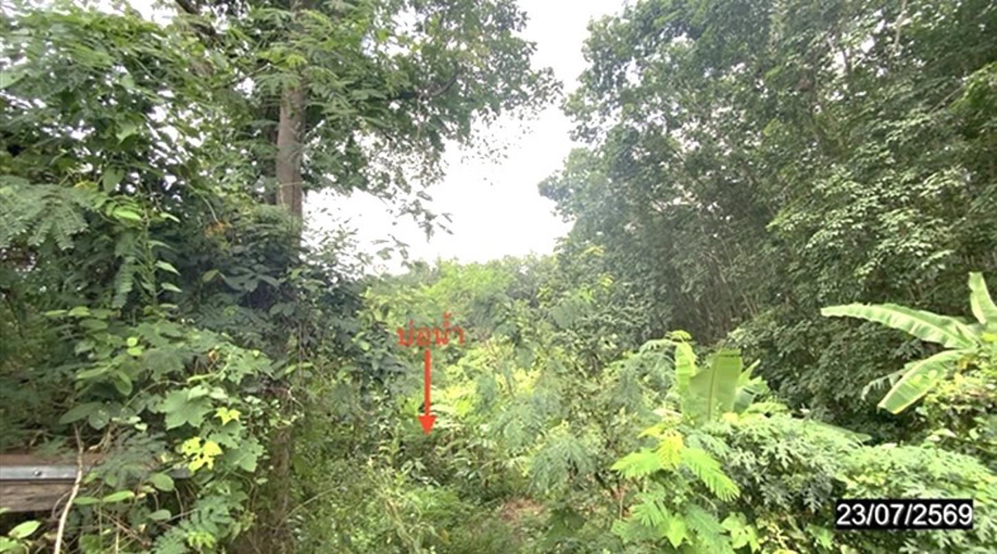 picture HOME 1065 Sq.w. Wang Saphung Loei for 1.6M - 33/37