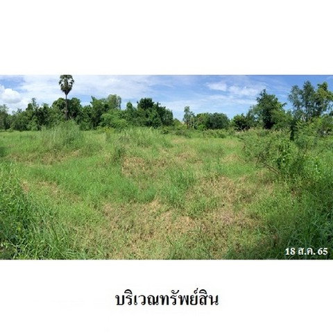 รูป Z2T2195 ขายที่ดินเปล่า ตำบล เมืองเก่า อำเภอ เมืองสุโขทัย จังหวัด สุโขทัย - รูปที่ 8/8