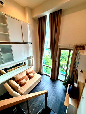Condos for rent : Pet Friendly. IDEO MORPH 38 is near BTS Tonglor. There is a shuttle service , or you can walk to the BTS station.