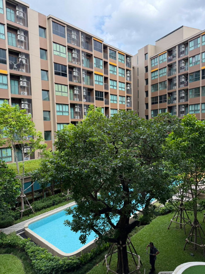 รูป ให้เช่าคอนโด D CONDO Calm รามคำแหง 40 ห้องสวยสภาพใหม่ วิวสระ เฟอร์ครบพร้อมอยู่ ใกล้ MRT ใกล้ แยกลำสาลี เชื่อมต่อรถไฟฟ้าสายสีเหลือง ใกล้ ม.รามคำแหง - รูปที่ 11/16