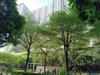 listing thumbnail image 14
