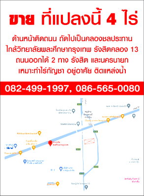 ที่ดิน ธัญบุรี ปทุมธานี : ขายที่ดิน 4 ไร่ไกล้วิทยาลัยพละศึกษา ถนนตัดผ่านหน้าแปลง ออกได้ทั้ง 2 ทาง
