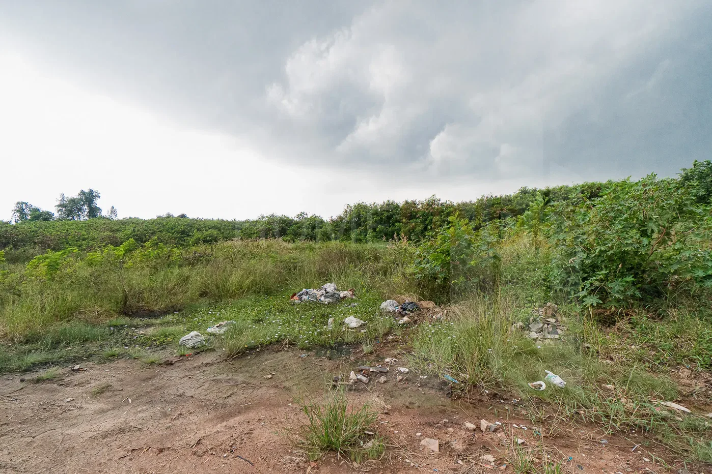 picture Land Rama 2 studio, for sale - 2/4