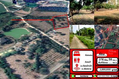 Land for sale Wiang Pa Pao Chiang Rai : 🏡Beautiful Land for Sale – Wiang Kalong, Chiang Rai 🌿 surrounded by nature, ideal for investment or building a private garden home.