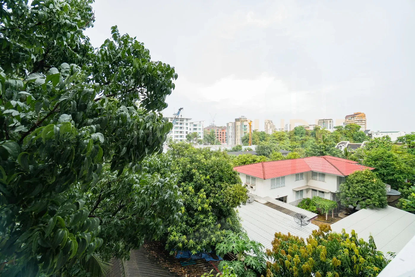 picture Avenue 61 condominium 2 bedrooms, for rent - 18/18