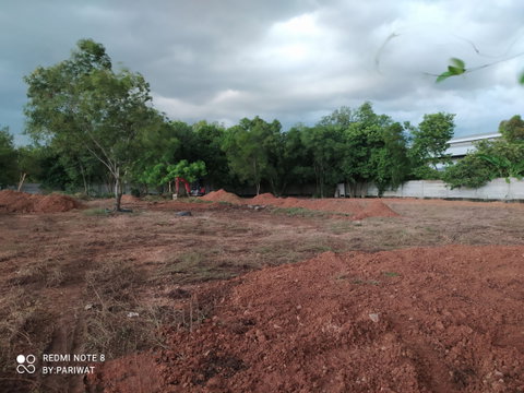 ขาย ที่ดิน 1 ไร่  ถมแล้ว ซอยจตุโชติ 4 