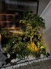 listing thumbnail image 25