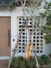 listing thumbnail image 22