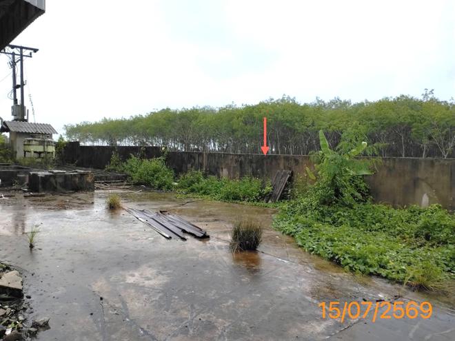 รูป โกดัง 4400 ตร.วา ท้ายเหมือง พังงา 18.5M - รูปที่ 15/39