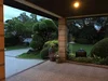 listing thumbnail image 11