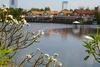 listing thumbnail image 7
