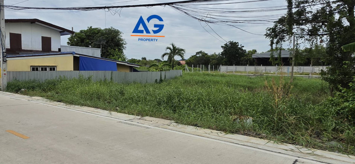 รูป ขายที่ดิน ตลอง 9 รังสิต-นครนายก 99 ตรว.  - รูปที่ 3/5