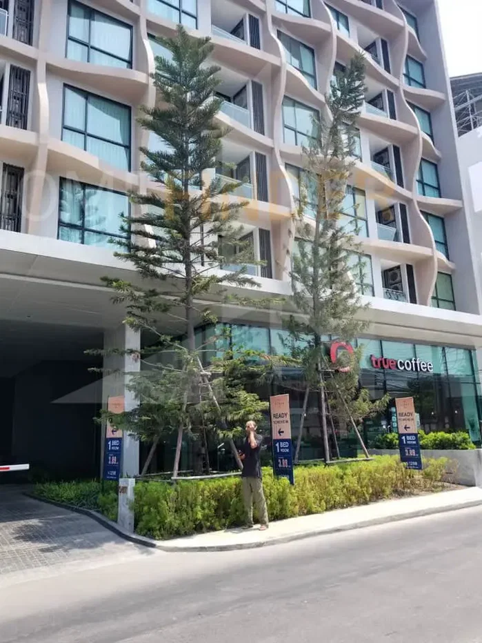 รูป Vtara Sukhumvit 36 || วีธารา สุขุมวิท 36 2 bedrooms, for rent - รูปที่ 14/15