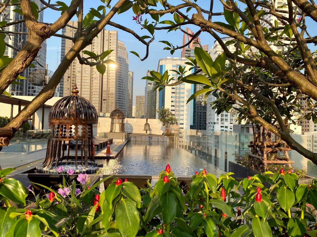 picture The Address Sukhumvit 61 2 bedrooms, for rent - 5/11