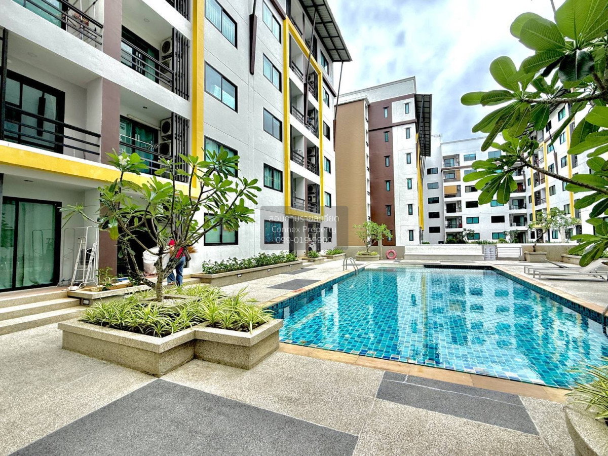 รูป 🔥🔥🔥 เช่าคอนโด  รัชพร เพลส กะทู้ กะทู้ ภูเก็ต CX-171575 ✅ ทักไลน์ @connexproperty ตอบทันที ทีมงานมืออาชีพ ✅ 🔥🔥🔥 - รูปที่ 7/7