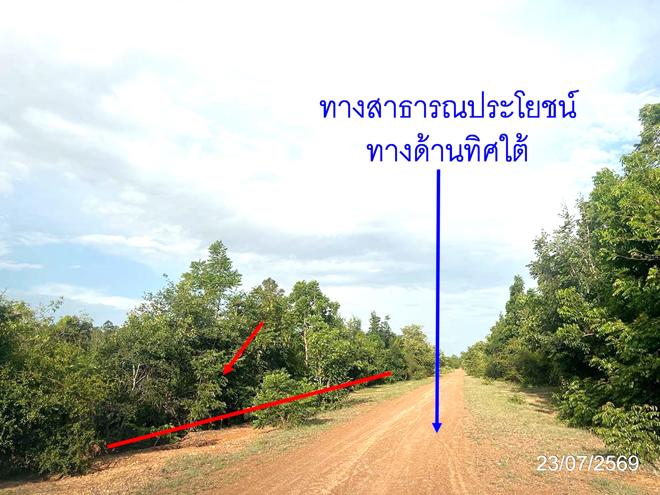 picture LAND 9873.8 Sq.w. Aranyaprathet Srakaeo for 3.3M - 5/17