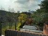 listing thumbnail image 23